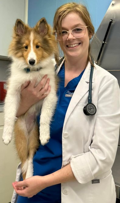 Dr. Dadgar